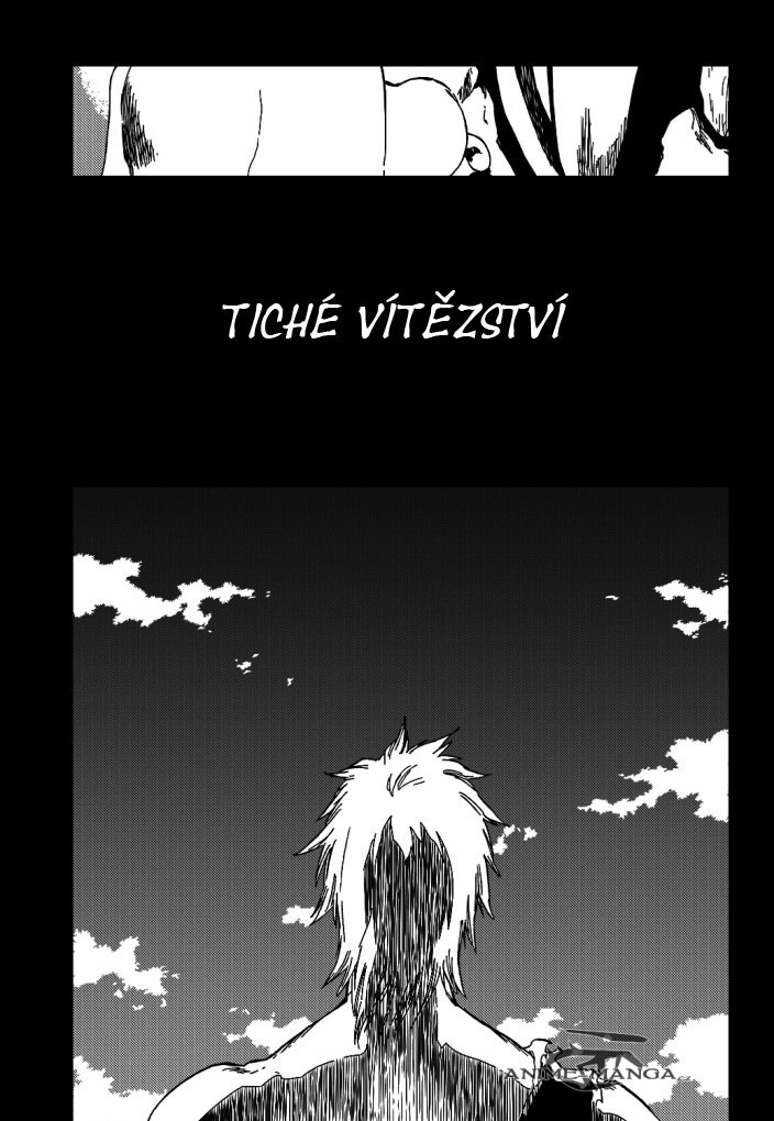 bleach-ch422-09 kopie.jpg